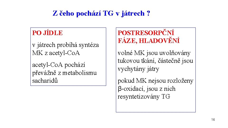 Z čeho pochází TG v játrech ? PO JÍDLE v játrech probíhá syntéza MK