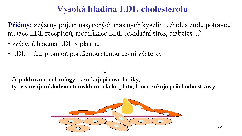 Vysoká hladina LDL-cholesterolu Příčiny: zvýšený příjem nasycených mastných kyselin a cholesterolu potravou, mutace LDL