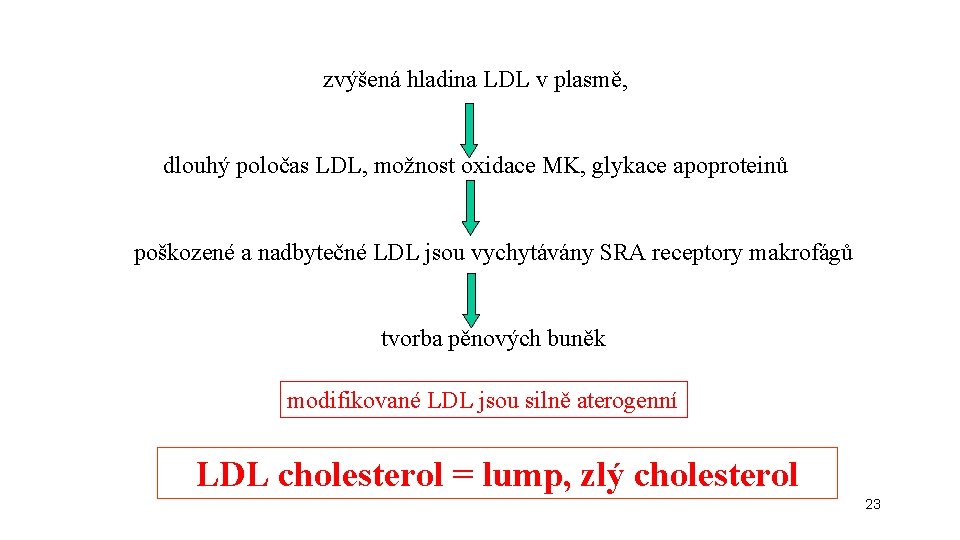 zvýšená hladina LDL v plasmě, dlouhý poločas LDL, možnost oxidace MK, glykace apoproteinů poškozené