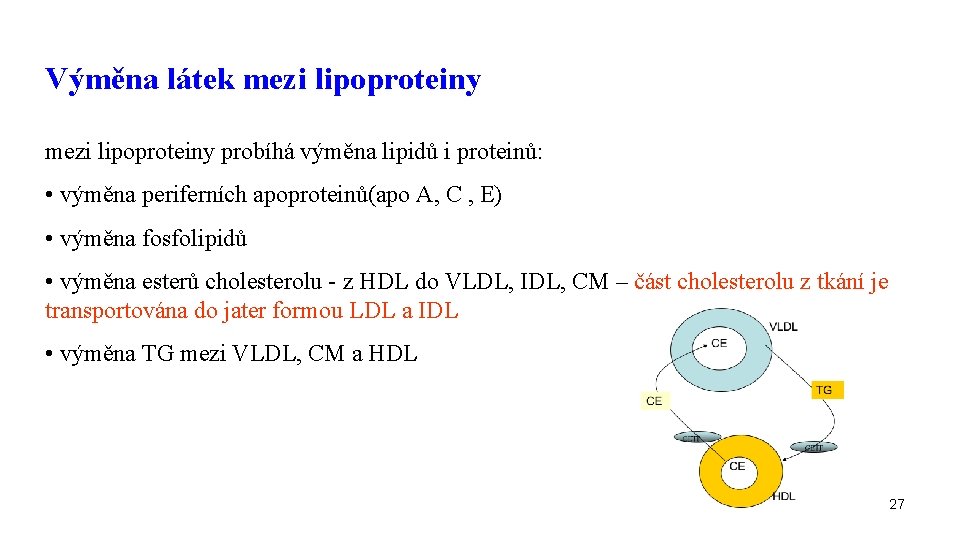 Výměna látek mezi lipoproteiny probíhá výměna lipidů i proteinů: • výměna periferních apoproteinů(apo A,