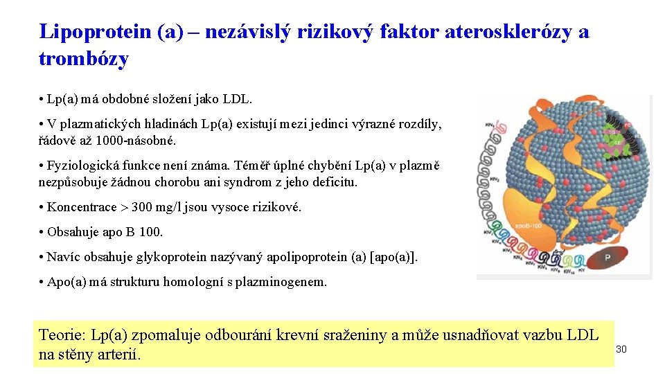 Lipoprotein (a) – nezávislý rizikový faktor aterosklerózy a trombózy • Lp(a) má obdobné složení