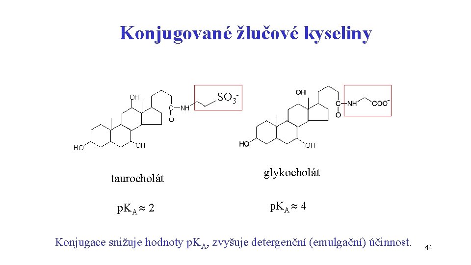 Konjugované žlučové kyseliny OH C NH SO 3 - O HO OH taurocholát p.