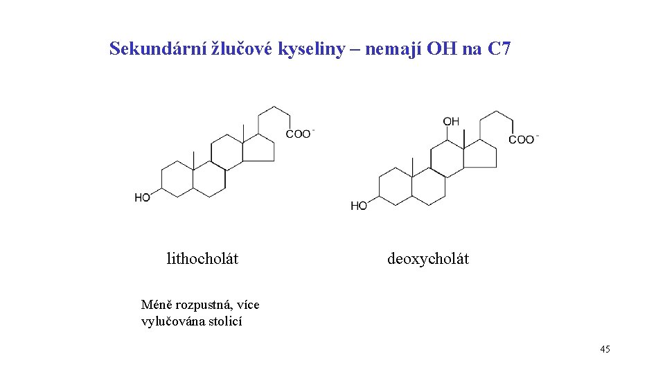 Sekundární žlučové kyseliny – nemají OH na C 7 lithocholát deoxycholát Méně rozpustná, více