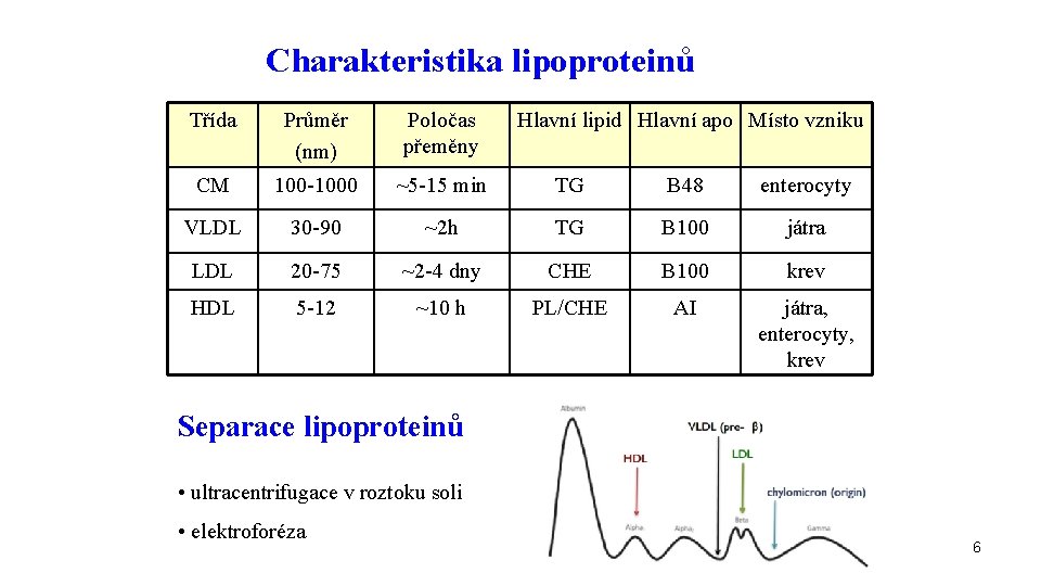 Charakteristika lipoproteinů Třída Průměr (nm) Poločas přeměny Hlavní lipid Hlavní apo Místo vzniku CM