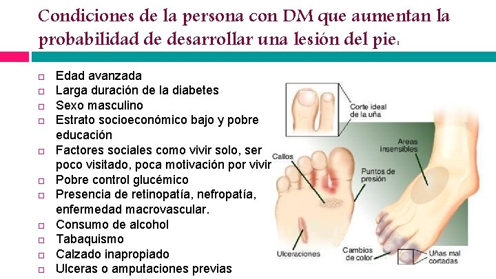 Condiciones de la persona con DM que aumentan la probabilidad de desarrollar una lesión