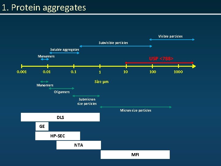 1. Protein aggregates Visible particles Subvisible particles Soluble aggregates Monomers 0. 001 USP <788>