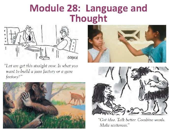 Module 28: Language and Thought 