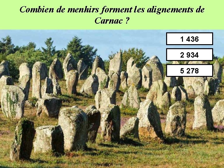 Combien de menhirs forment les alignements de Carnac ? 1 436 2 934 5
