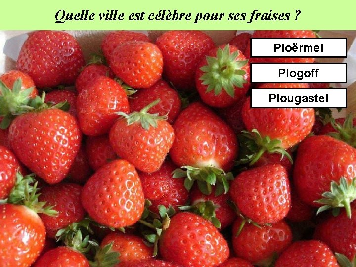 Quelle ville est célèbre pour ses fraises ? Ploërmel Plogoff Plougastel 