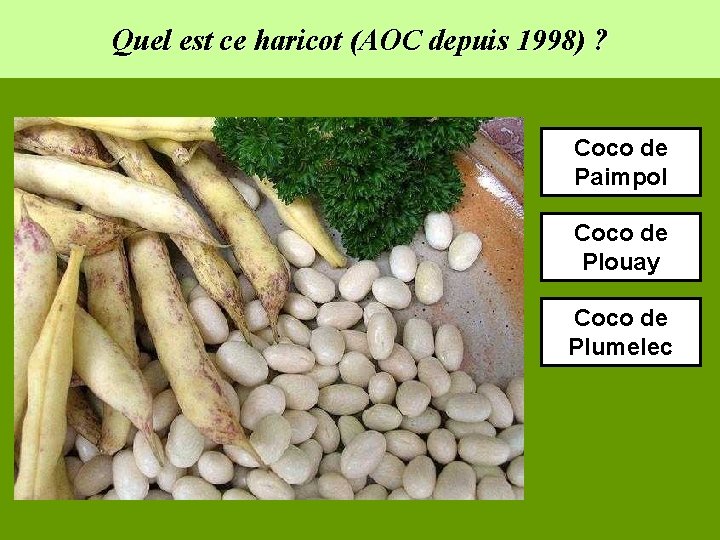 Quel est ce haricot (AOC depuis 1998) ? Coco de Paimpol Coco de Plouay