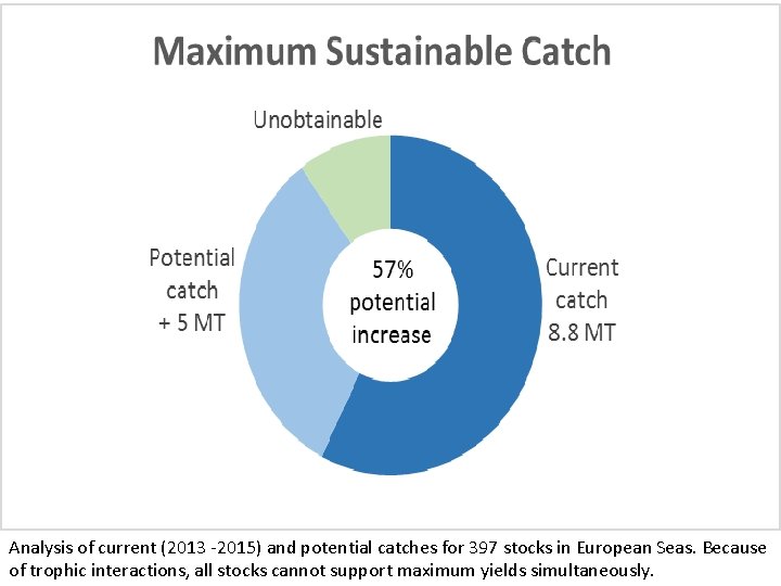 Analysis of current (2013 -2015) and potential catches for 397 stocks in European Seas.