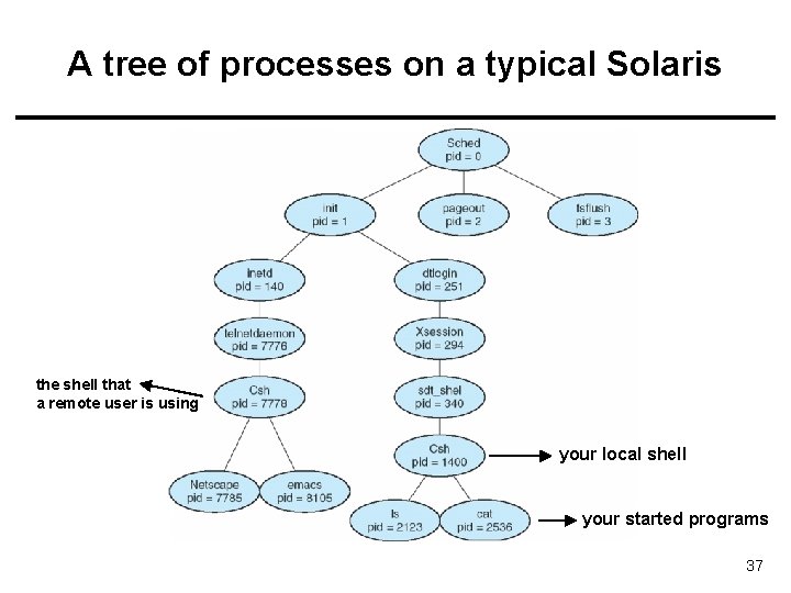 A tree of processes on a typical Solaris the shell that a remote user