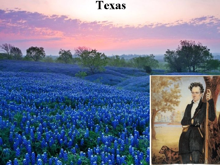 Texas 