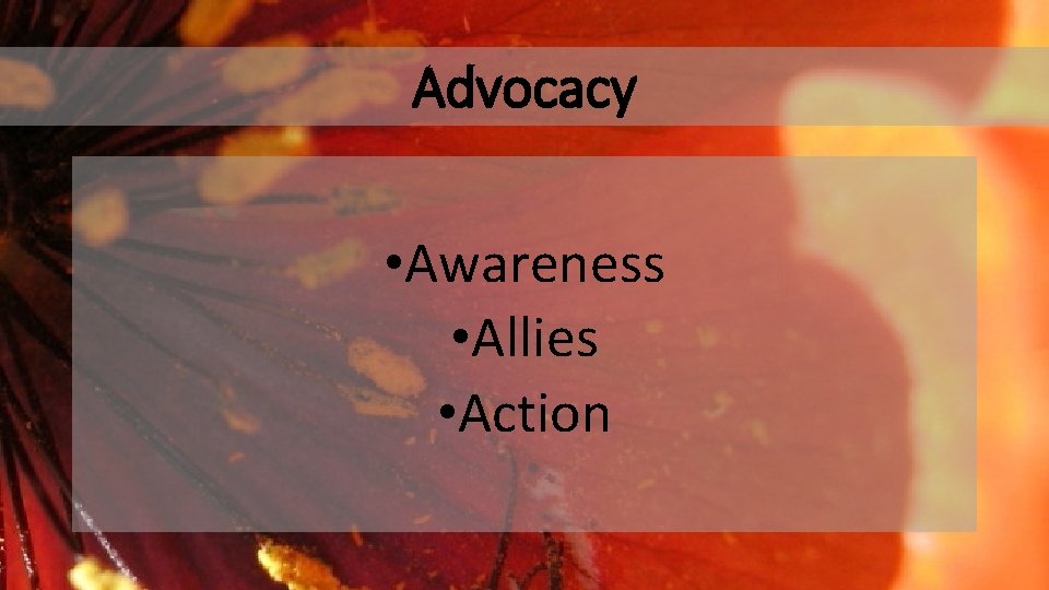 Advocacy • Awareness • Allies • Action 