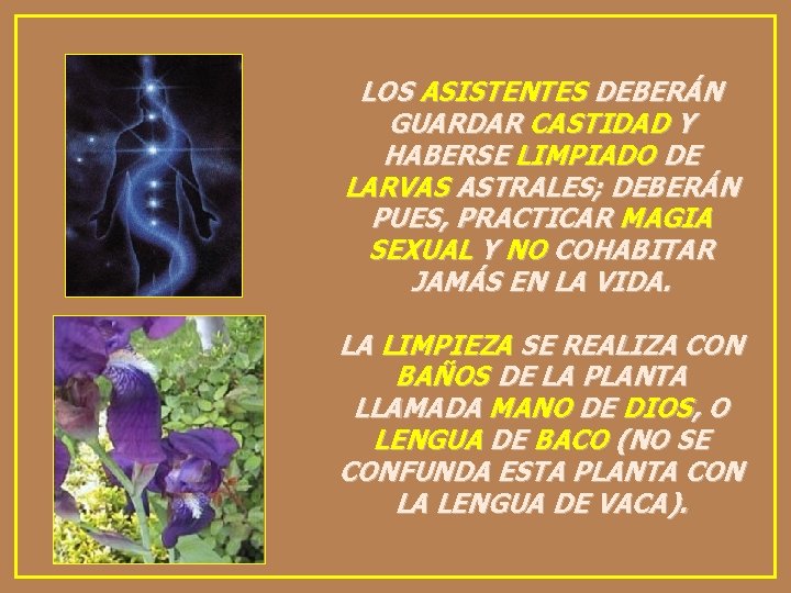 LOS ASISTENTES DEBERÁN GUARDAR CASTIDAD Y HABERSE LIMPIADO DE LARVAS ASTRALES; DEBERÁN PUES, PRACTICAR