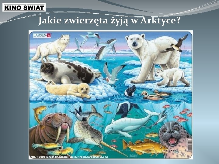 Jakie zwierzęta żyją w Arktyce? http: //kuppuzzle. pl/index. php? route=product/product&product_id=2050 