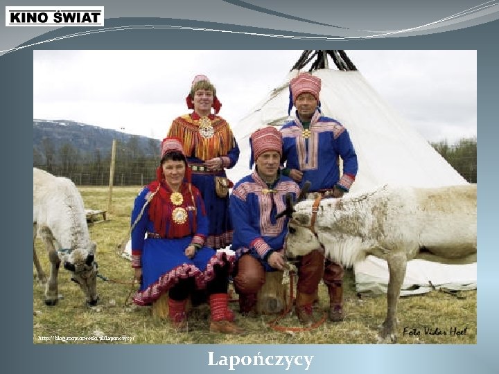 https: //commons. wikimedia. org/w/index. php? curid=95948 http: //blog. mojnorweski. pl/laponczycy/ Lapończycy 