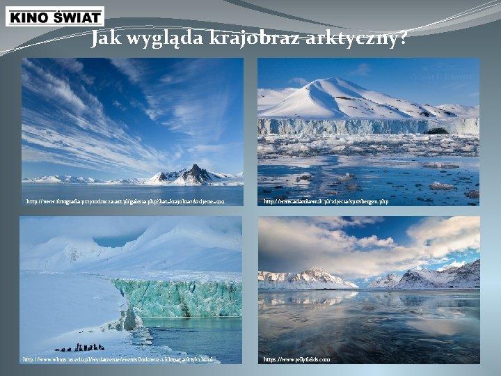 Jak wygląda krajobraz arktyczny? http: //www. fotografia-przyrodnicza. art. pl/galeria. php? kat=krajobraz&zdjecie=919 http: //www. wbios.