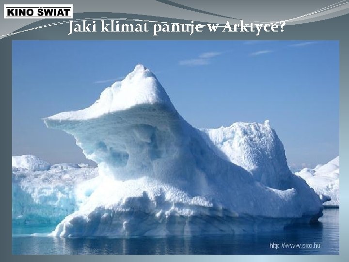 Jaki klimat panuje w Arktyce? 