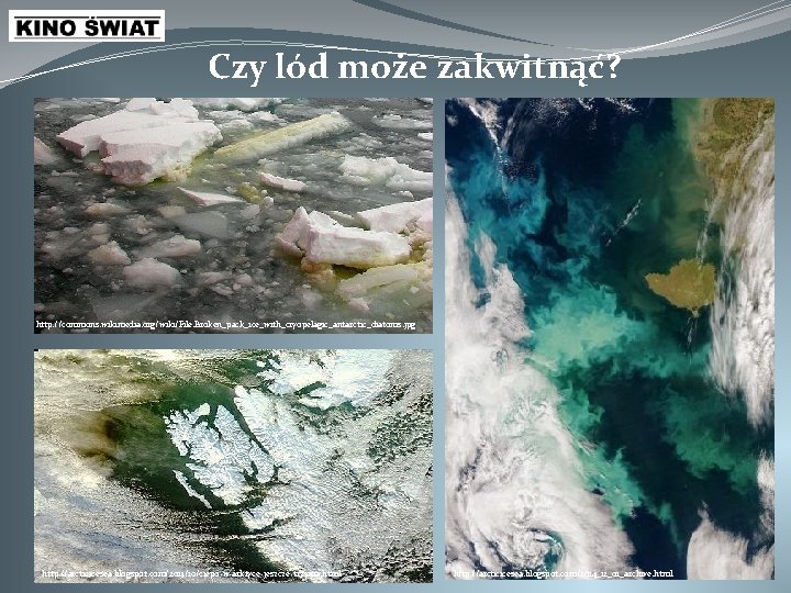 Czy lód może zakwitnąć? http: //commons. wikimedia. org/wiki/File: Broken_pack_ice_with_cryopelagic_antarctic_diatoms. jpg http: //arcticicesea. blogspot. com/2013/10/ciepo-w-arktyce-jeszcze-trzyma.