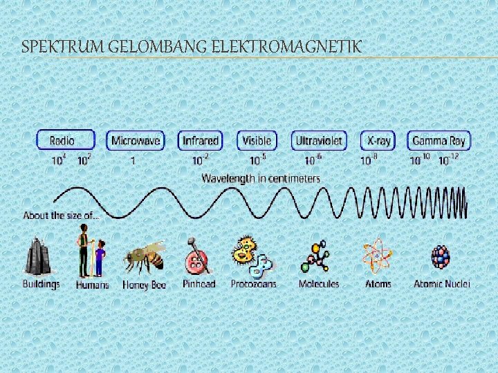 SPEKTRUM GELOMBANG ELEKTROMAGNETIK 