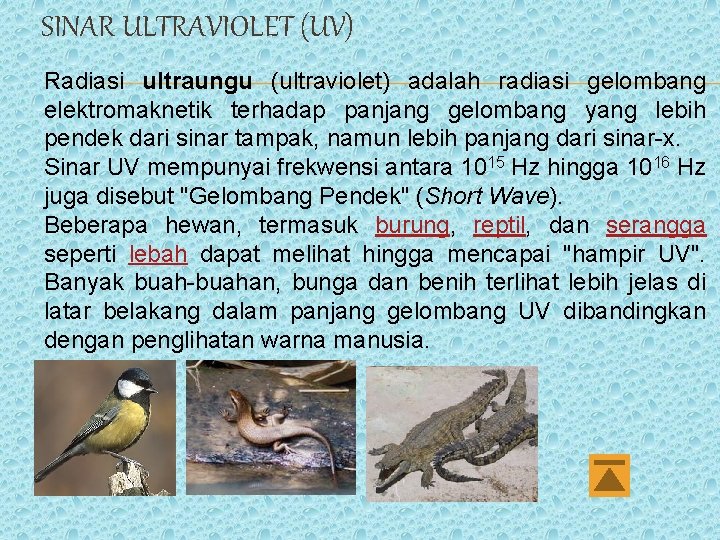 SINAR ULTRAVIOLET (UV) Radiasi ultraungu (ultraviolet) adalah radiasi gelombang elektromaknetik terhadap panjang gelombang yang