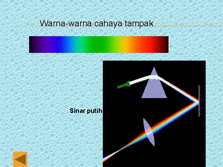 Warna-warna cahaya tampak Sinar putih dilewatpan pada prisma 