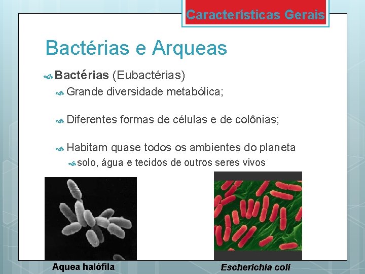 Características Gerais Bactérias e Arqueas Bactérias Grande (Eubactérias) diversidade metabólica; Diferentes Habitam solo, formas