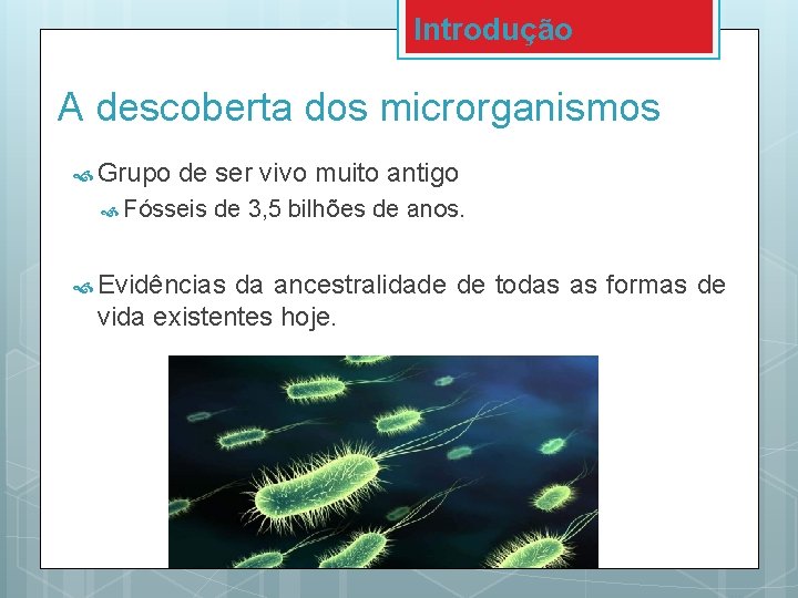 Introdução A descoberta dos microrganismos Grupo de ser vivo muito antigo Fósseis de 3,