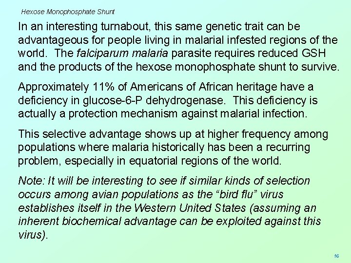 Hexose Monophosphate Shunt In an interesting turnabout, this same genetic trait can be advantageous