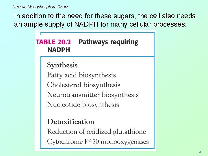 Hexose Monophosphate Shunt In addition to the need for these sugars, the cell also