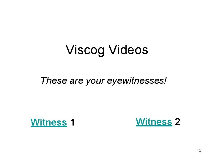 Viscog Videos These are your eyewitnesses! Witness 1 Witness 2 13 