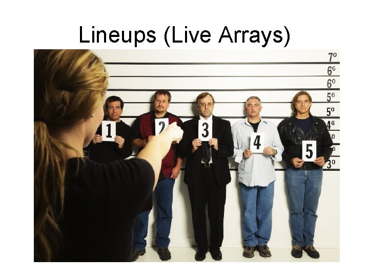 Lineups (Live Arrays) 