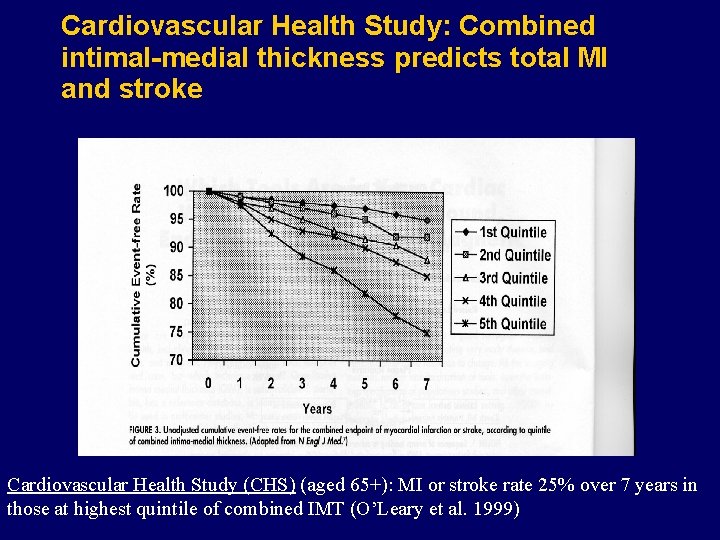 Cardiovascular Health Study: Combined intimal-medial thickness predicts total MI and stroke Cardiovascular Health Study