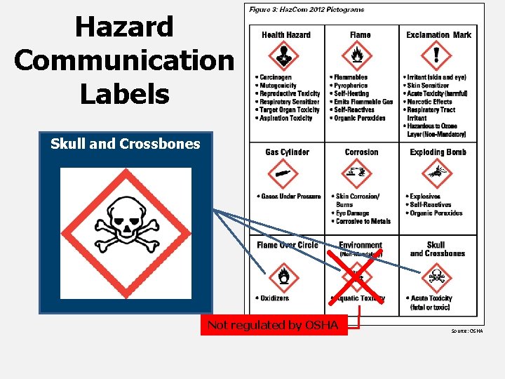 Hazard Communication Labels Environmental Skull Flame and. Over Crossbones Circle (Non-Mandatory) Not regulated by