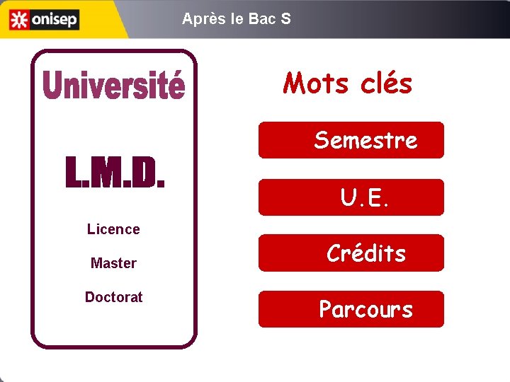 Après le Bac S Mots clés Semestre U. E. Licence Master Doctorat Crédits Parcours