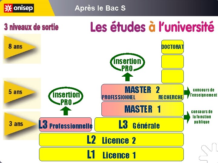 Après le Bac S DOCTORAT insertion PRO L 3 Professionnelle L 2 L 1