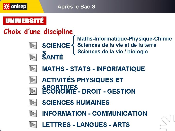 Après le Bac S Choix d’une discipline SCIENCE S SANTÉ Maths-Informatique-Physique-Chimie Sciences de la