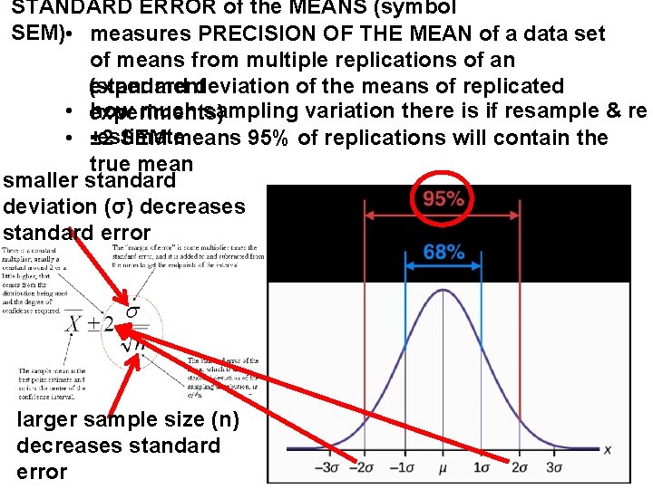 STANDARD ERROR of the MEANS (symbol SEM) • measures PRECISION OF THE MEAN of