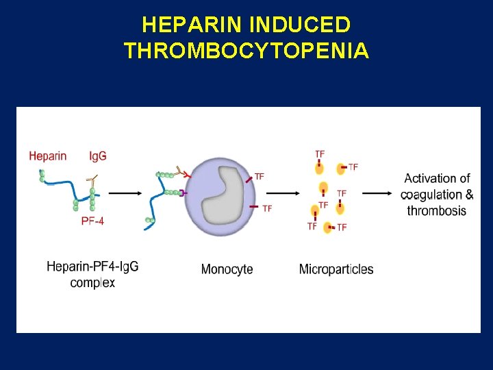 HEPARIN INDUCED THROMBOCYTOPENIA 