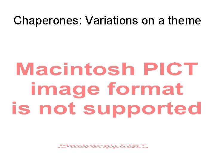 Chaperones: Variations on a theme 