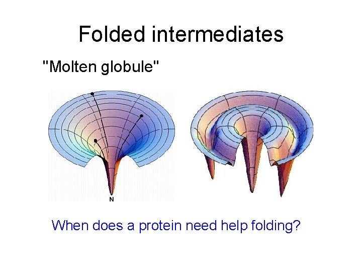 Folded intermediates "Molten globule" When does a protein need help folding? 