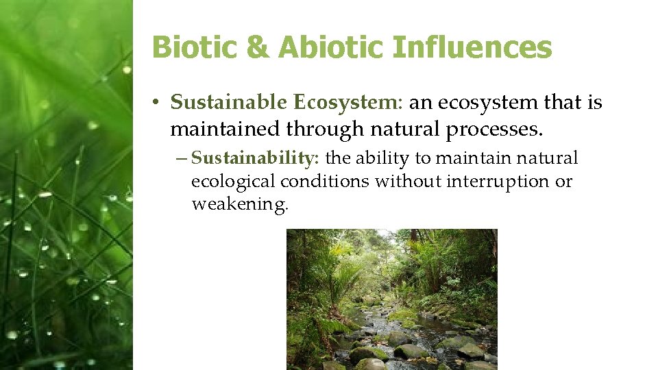 Biotic & Abiotic Influences • Sustainable Ecosystem: an ecosystem that is maintained through natural