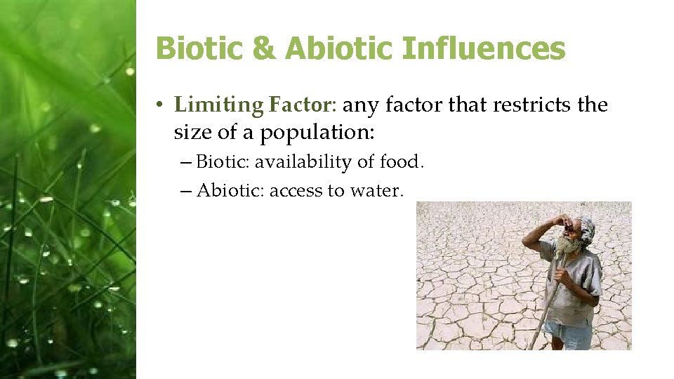 Biotic & Abiotic Influences • Limiting Factor: any factor that restricts the size of