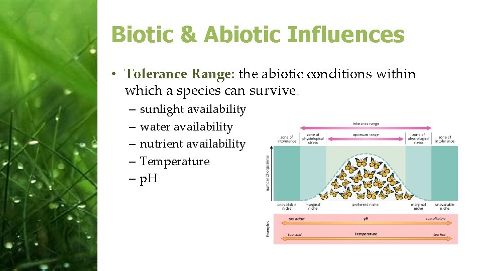 Biotic & Abiotic Influences • Tolerance Range: the abiotic conditions within which a species