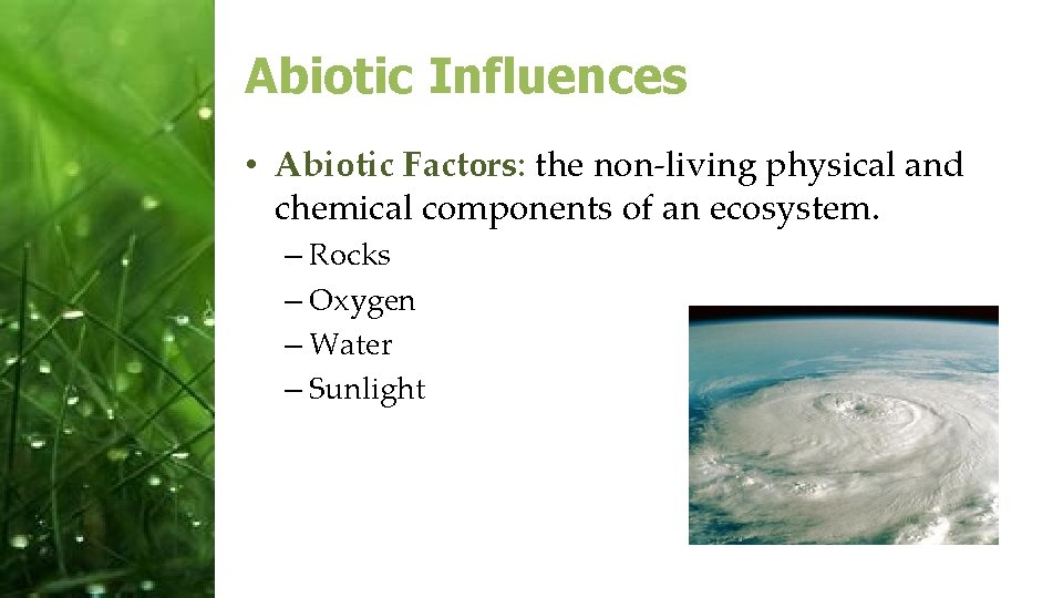 Abiotic Influences • Abiotic Factors: the non-living physical and chemical components of an ecosystem.