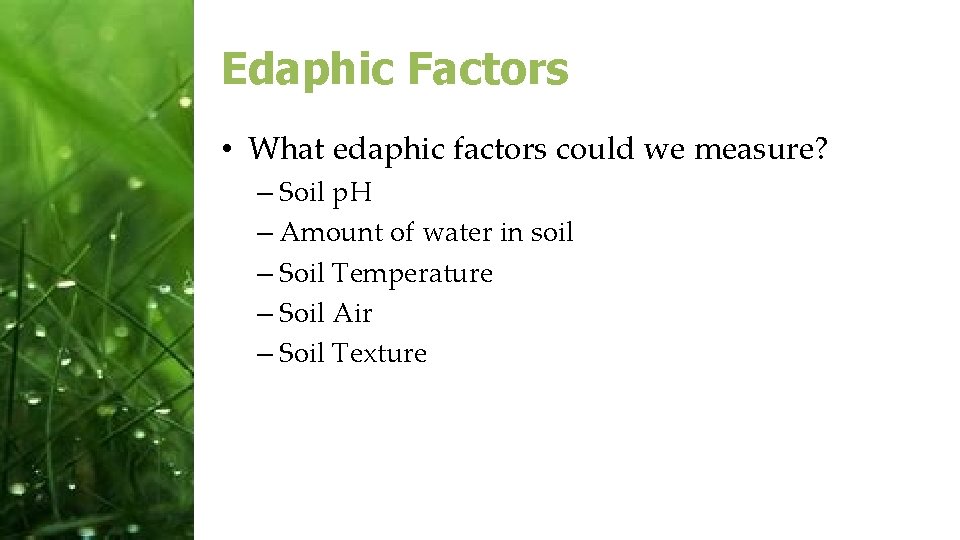 Edaphic Factors • What edaphic factors could we measure? – Soil p. H –