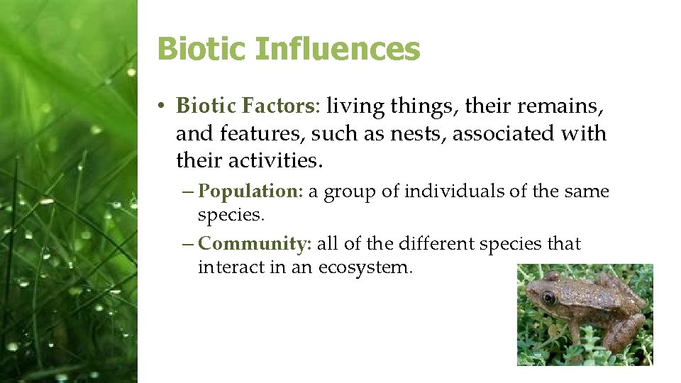 Biotic Influences • Biotic Factors: living things, their remains, and features, such as nests,
