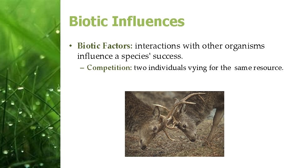 Biotic Influences • Biotic Factors: interactions with other organisms influence a species' success. –