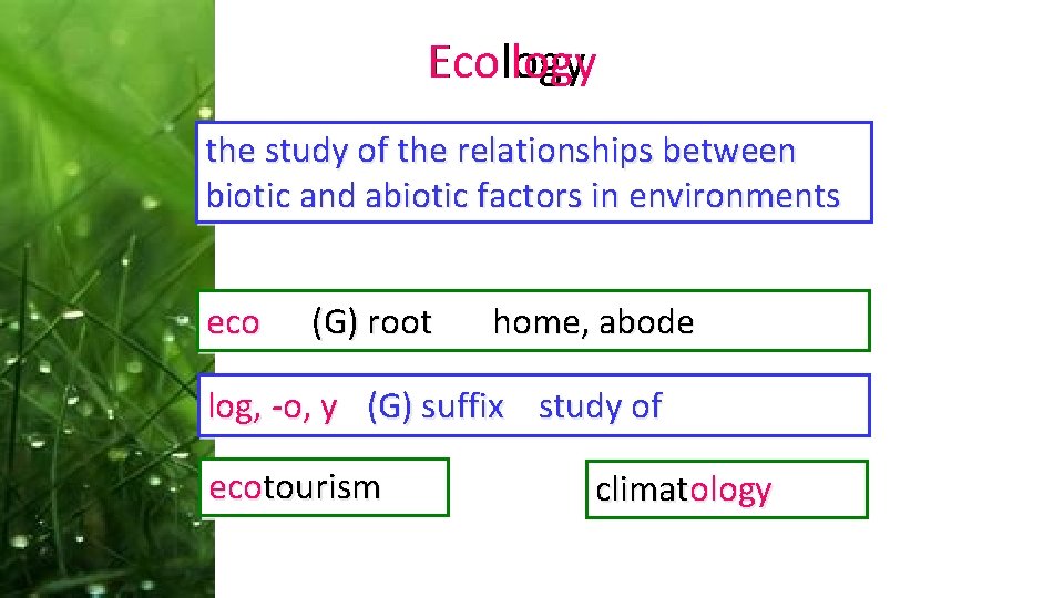 Eco logy Ecology the study of the relationships between biotic and abiotic factors in